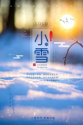小雪大气海报