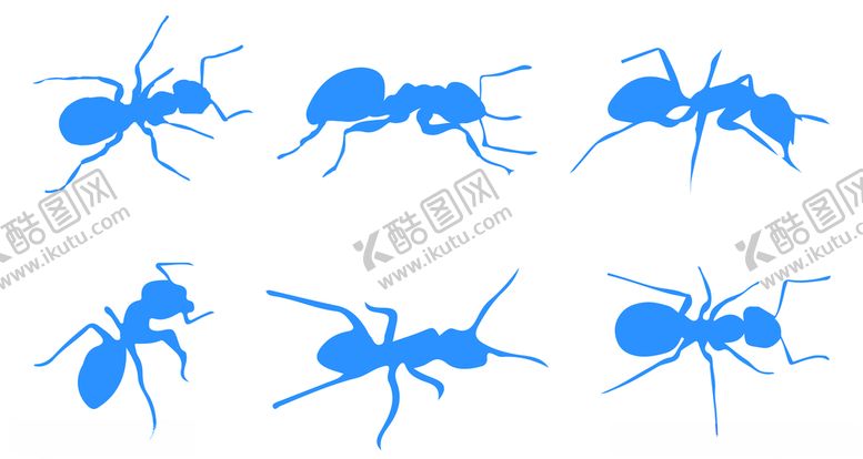 编号：19302507010044364093【酷图网】源文件下载-蚂蚁素材