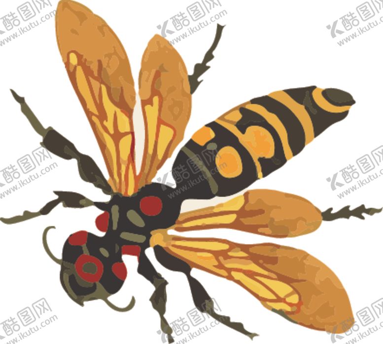 编号：67892110311348586834【酷图网】源文件下载-蜜蜂昆虫插画