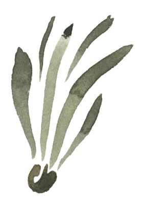 手绘植物花卉