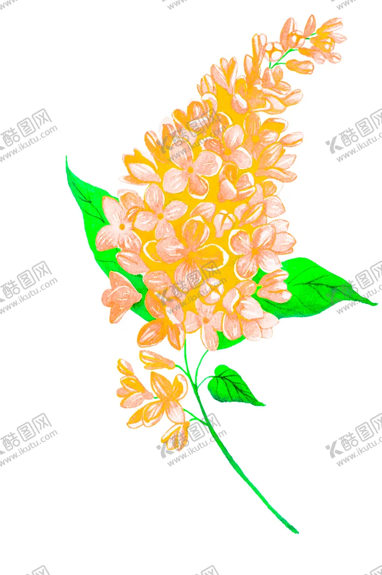编号：10365707062212227045【酷图网】源文件下载-花素材