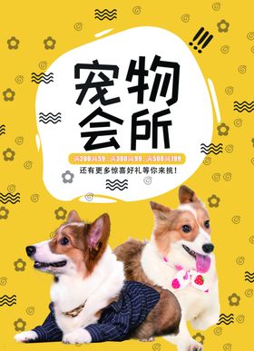 宠物会所宠物服务广告页面