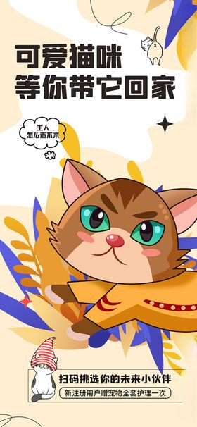 可爱猫咪等主人回家