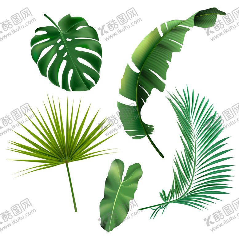 编号：27054109191609094827【酷图网】源文件下载-叶子