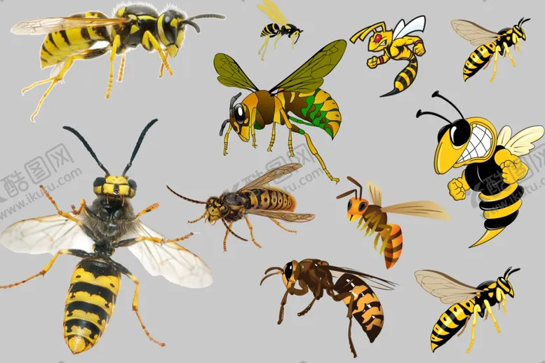 编号：40374409090859474703【酷图网】源文件下载-大黄蜂