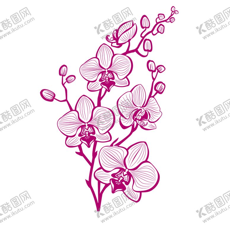 编号：29620606272342189032【酷图网】源文件下载-花素材