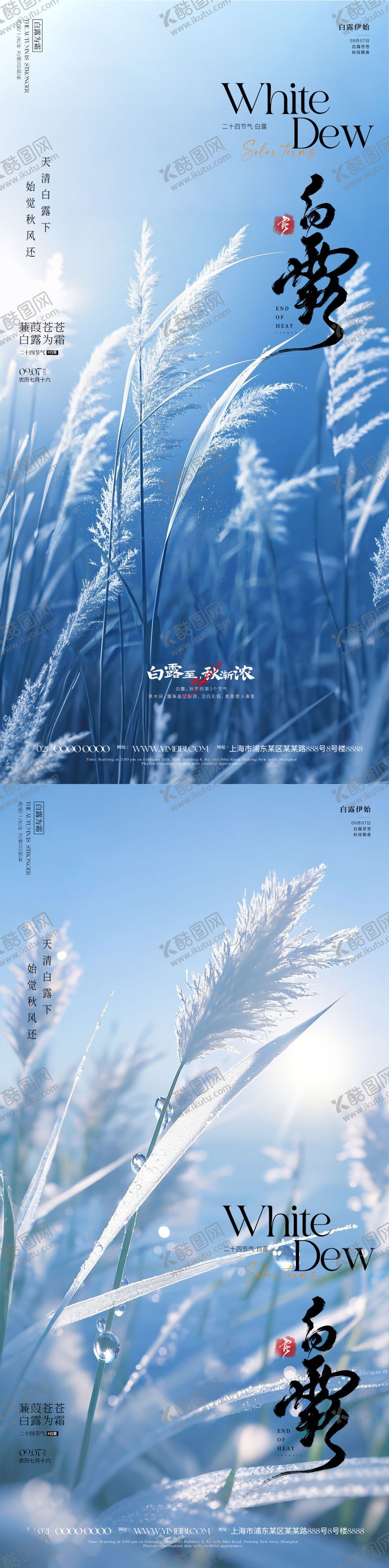 编号：97067510252303374247【酷图网】源文件下载-白露节气海报