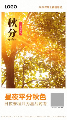 24节气海报