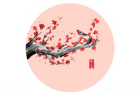 梅花