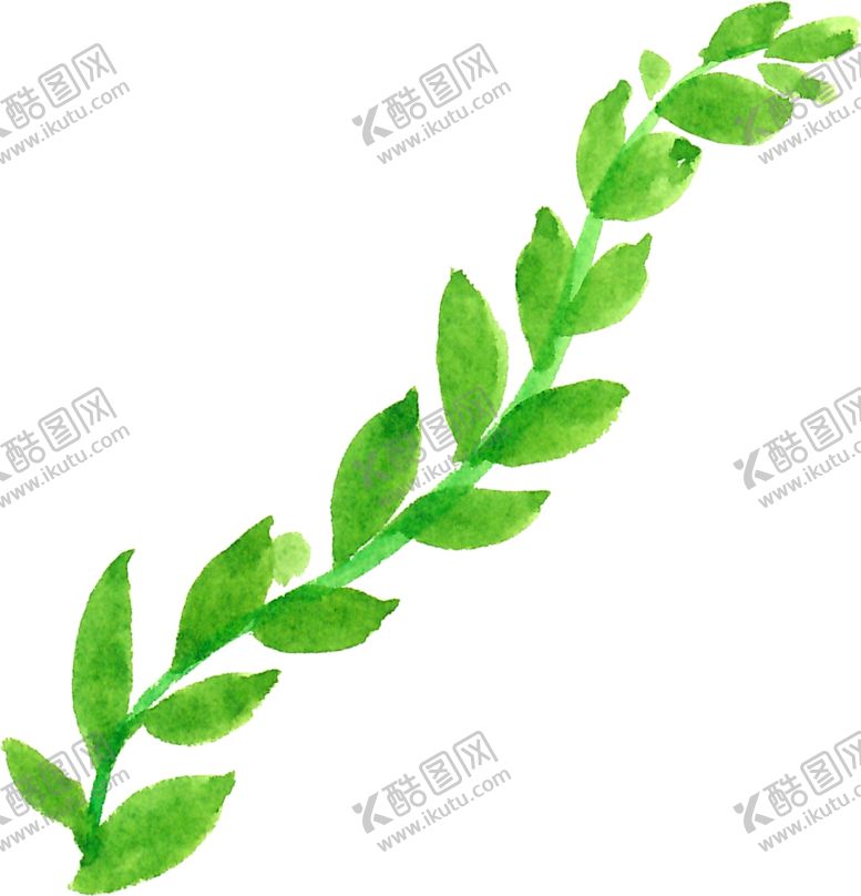 编号：43604503281952188619【酷图网】源文件下载-水彩植物