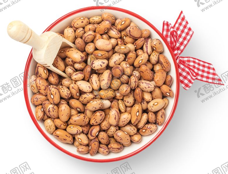 编号：48658809290254128383【酷图网】源文件下载-大豆