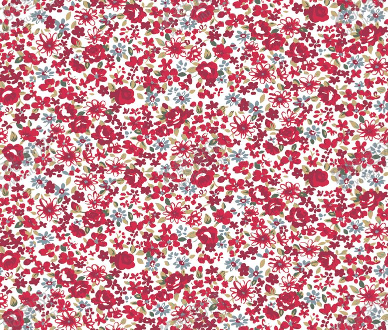 编号：49709609220853172716【酷图网】源文件下载-数码印花