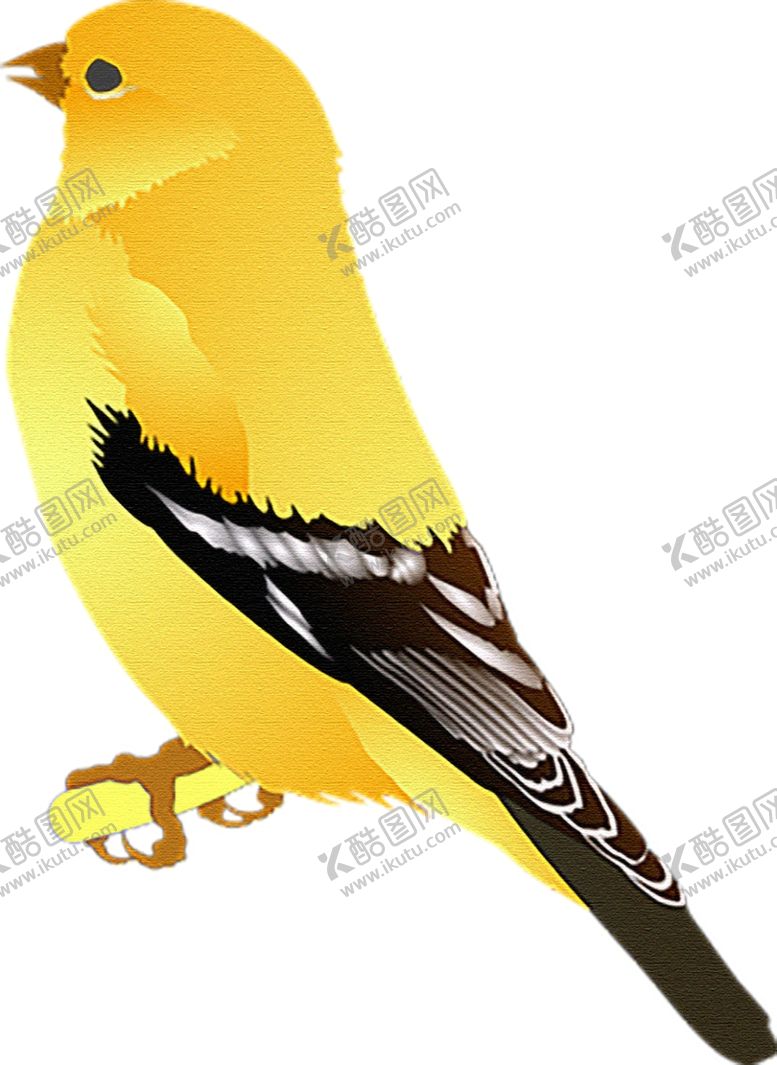 编号：85837712181308515337【酷图网】源文件下载-鸟免抠