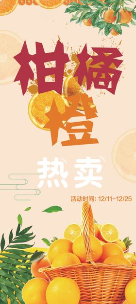 橘子橙子柠檬水果背景