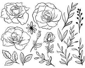 花卉填色图黑白片勾线插
