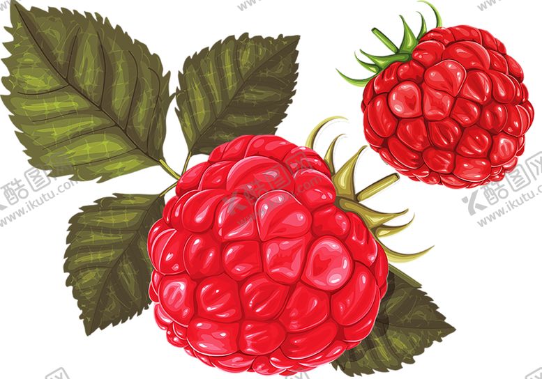 编号：93084909240654554399【酷图网】源文件下载-水果