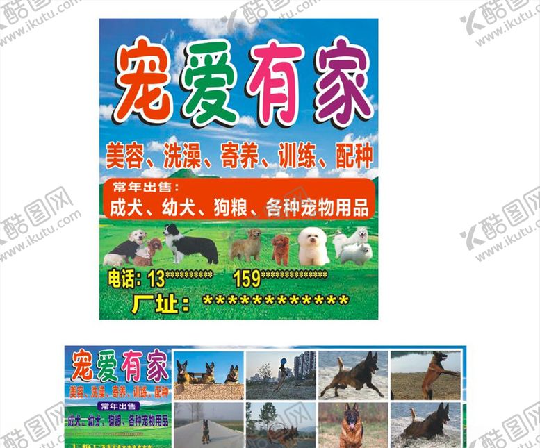 编号：27010304161952204641【酷图网】源文件下载-宠物店海报