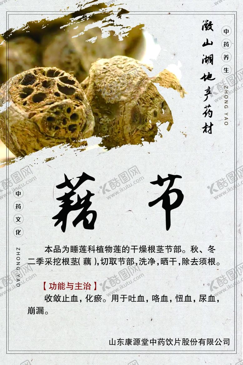 编号：14965610101159261404【酷图网】源文件下载-微山湖地产药材藕节