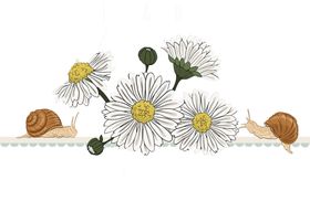 菊花素材