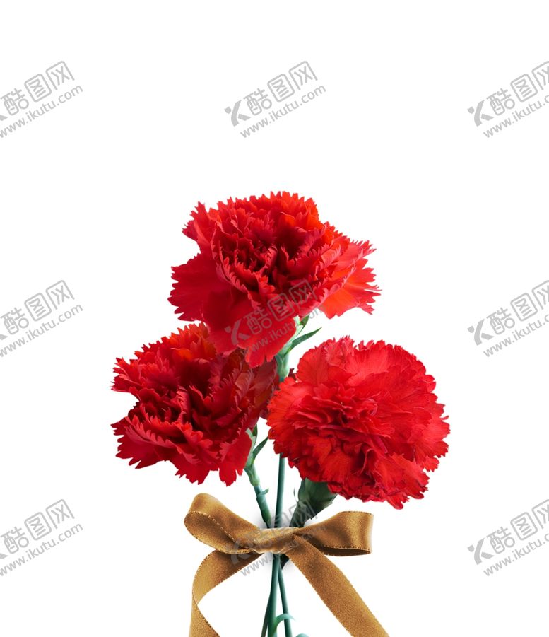 编号：47811404171124182345【酷图网】源文件下载-红色花束
