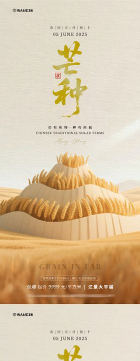 芒种简约海报