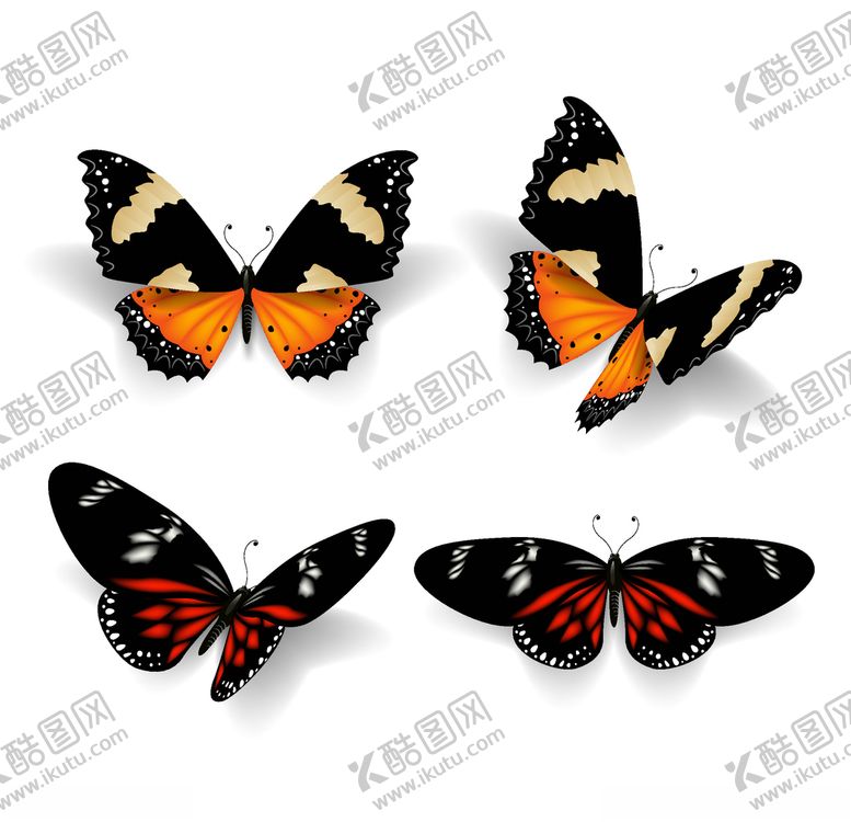 编号：91257509210109192928【酷图网】源文件下载-蝴蝶矢量素材