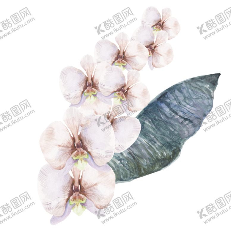 编号：57864910010144127950【酷图网】源文件下载-夏日热带水彩花朵