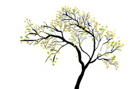 枝头枝丫插画卡通古风素材