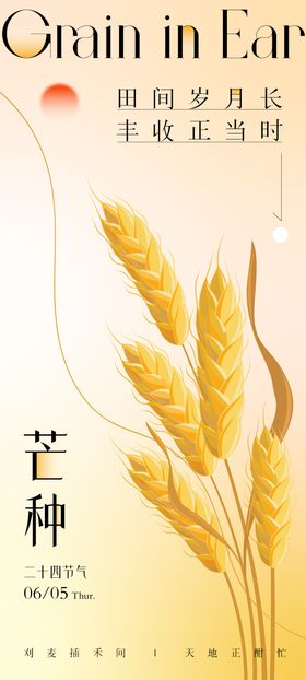 芒种二十四节气海报麦子创意质感