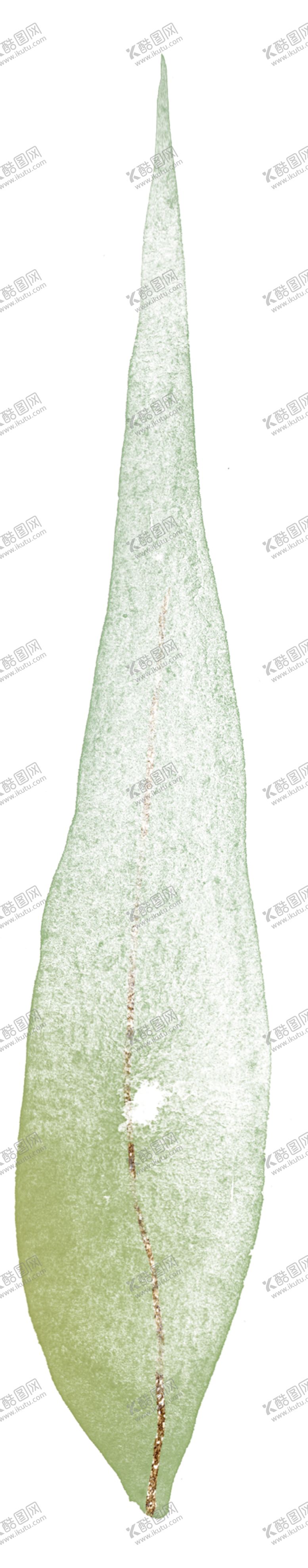 编号：91470806301937001698【酷图网】源文件下载-北欧小清新水彩植物图案