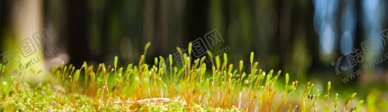 编号：26553410131353498657【酷图网】源文件下载-春天海报