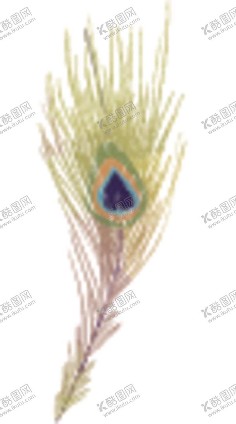 编号：58639607052133474685【酷图网】源文件下载-羽毛