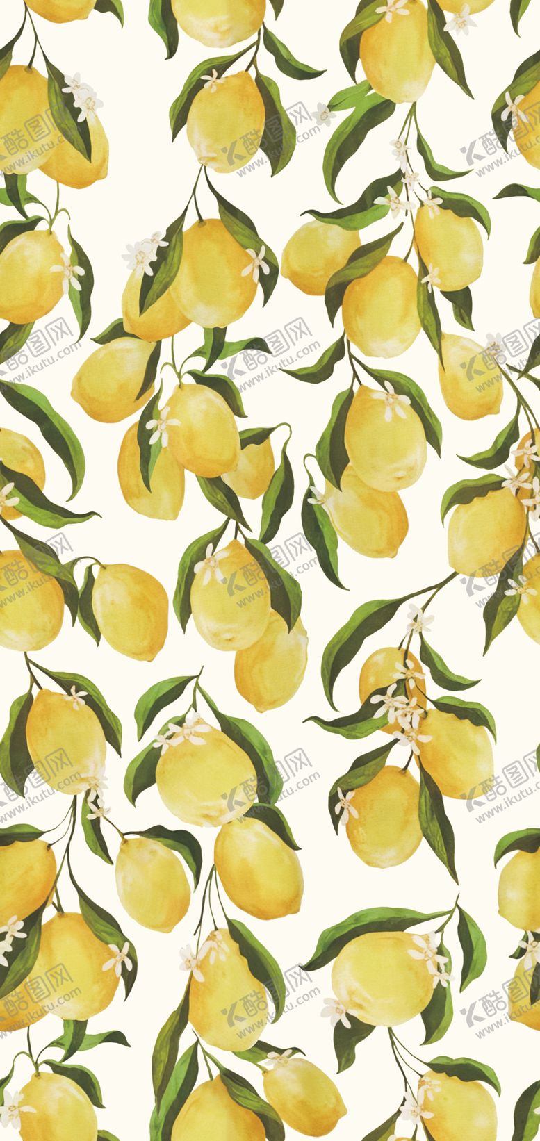 编号：59184204242243119493【酷图网】源文件下载-柠檬花