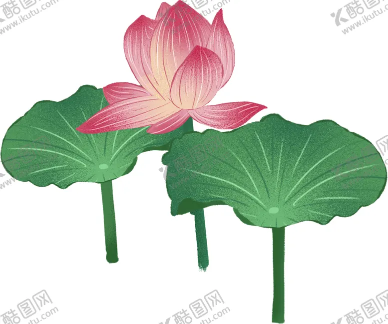 编号：45562202130441243702【酷图网】源文件下载-手绘漂亮的荷花荷叶插画元素图片