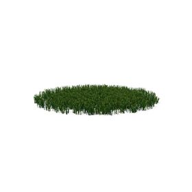 花草婚礼艺绿植植物效果图