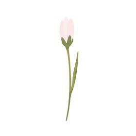 森系花枝