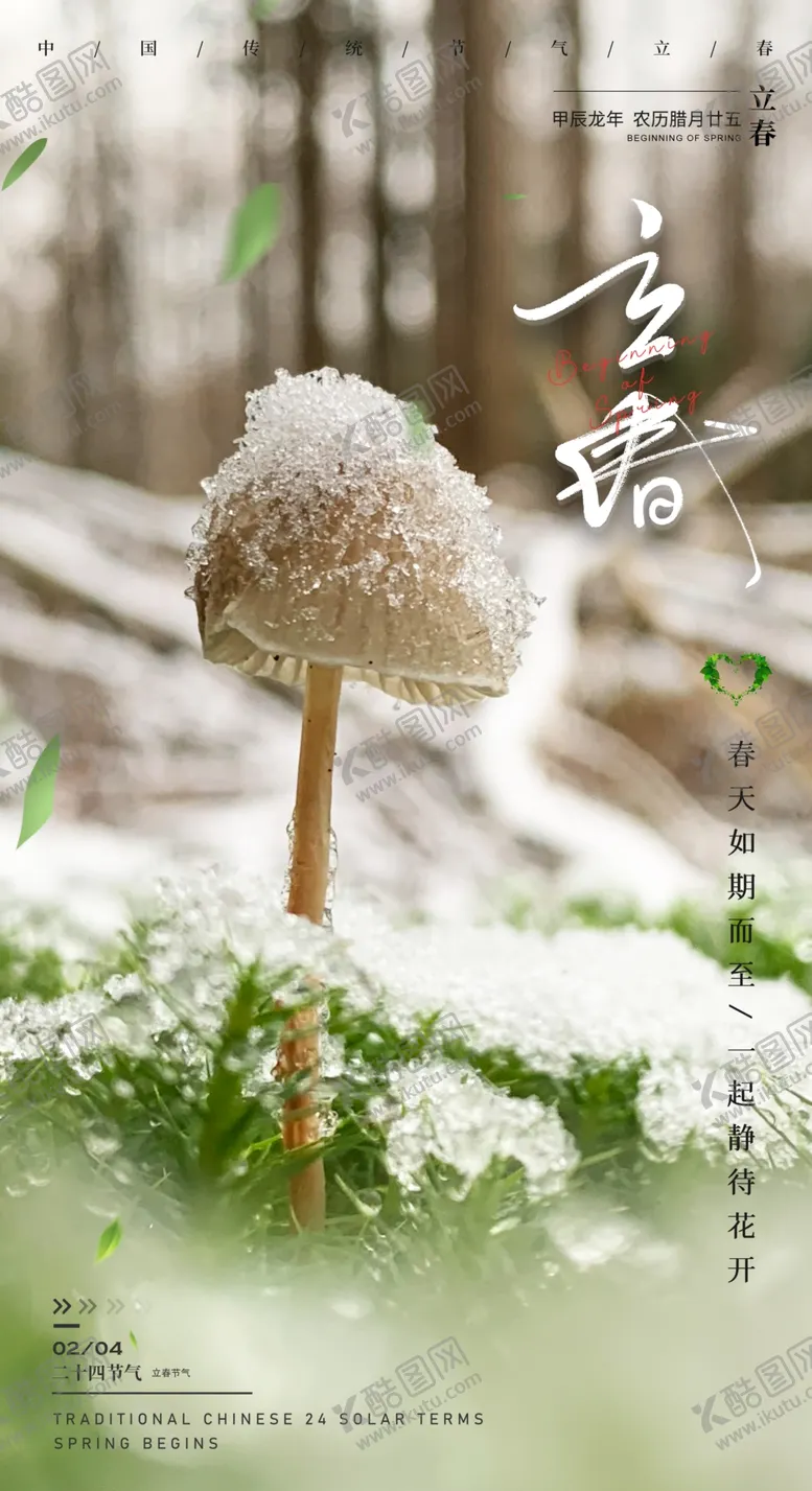 编号：35010801240725398111【酷图网】源文件下载-立春