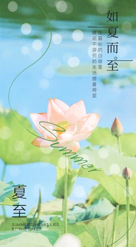 夏至节气海报清新荷花二十四