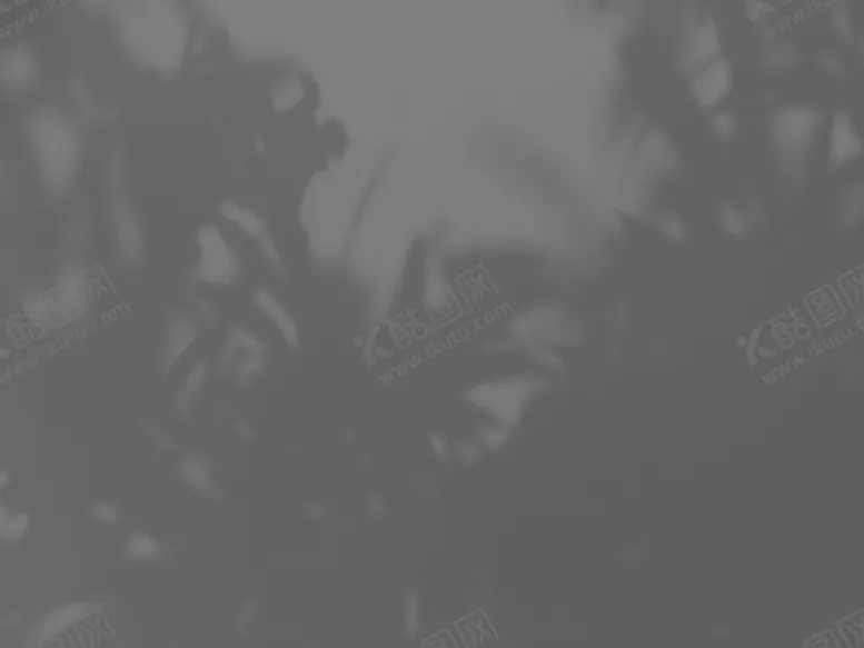 编号：48193006271540127430【酷图网】源文件下载-自然植物光影