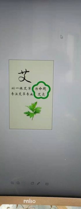 艾灸 艾艾贴