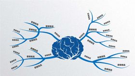 大脑组织结构单位组织构架公司组织构架