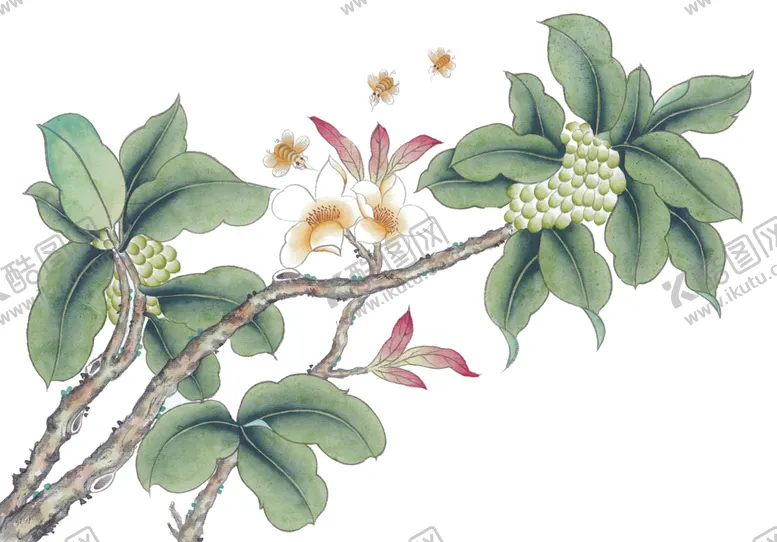 编号：55120601201408319849【酷图网】源文件下载-花鸟画