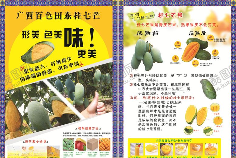 编号：78662105060703132313【酷图网】源文件下载-芒果宣传单图片