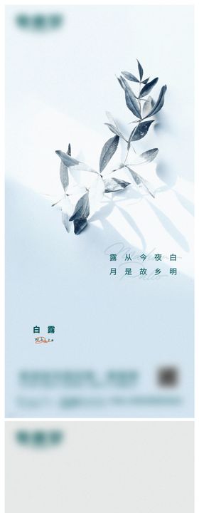 白露微信