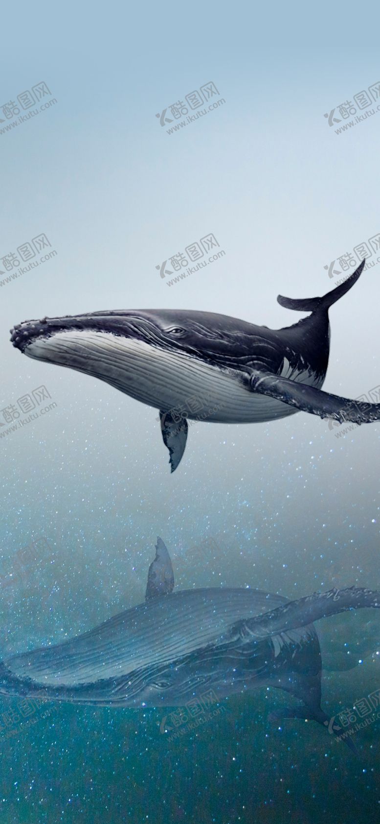 编号：20394910261702416028【酷图网】源文件下载-手机壁纸