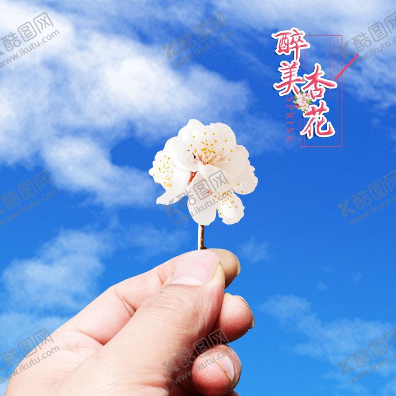 编号：23546009171839178590【酷图网】源文件下载-杏花