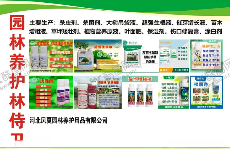 编号：40830009201433581441【酷图网】源文件下载-宣传彩页