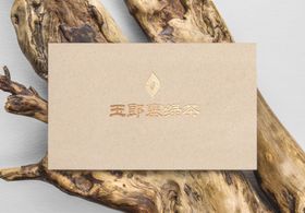 名片LOGO样机高端名片样机