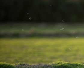 风景