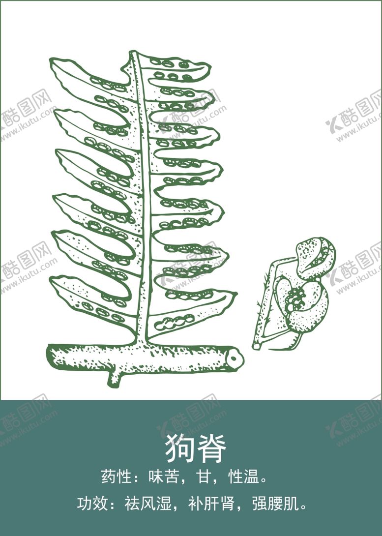 编号：89973601140925418736【酷图网】源文件下载-中药手绘插画